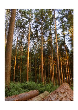 Eckernförde - 30.06.22 #3